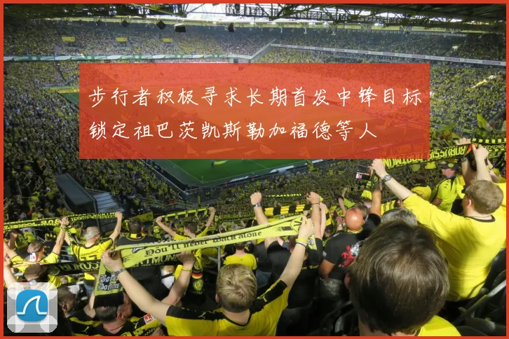 步行者积极寻求长期首发中锋目标锁定祖巴茨凯斯勒加福德等人